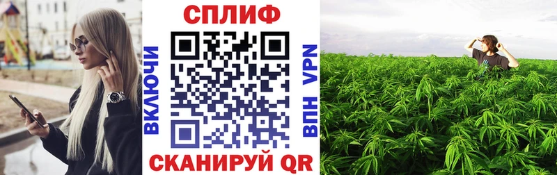 Наркотические вещества Новокубанск Канабис  Вейп ТГК  Cocaine  Псилоцибиновые грибы  ГАШИШ  Меф 