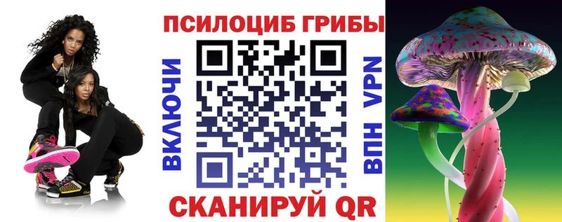 Псилоцибиновые грибы GOLDEN TEACHER  OMG ссылка  Новокубанск 