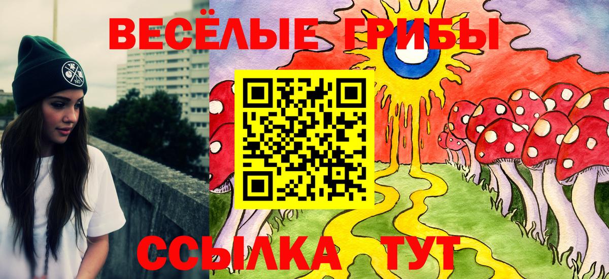 Псилоцибиновые грибы MAGIC MUSHROOMS Новокубанск