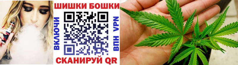Марихуана сатива Новокубанск